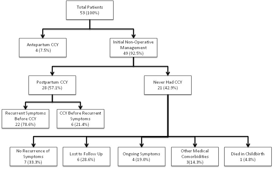 Pathophysiology Of Cholelithiasis In Flow Chart