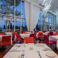 Sequoia DC